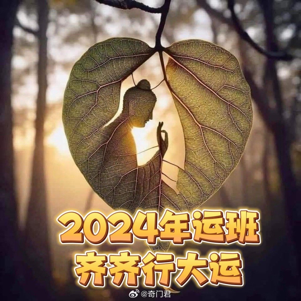 探索未来幸运之门，2024年一肖一码一中一特