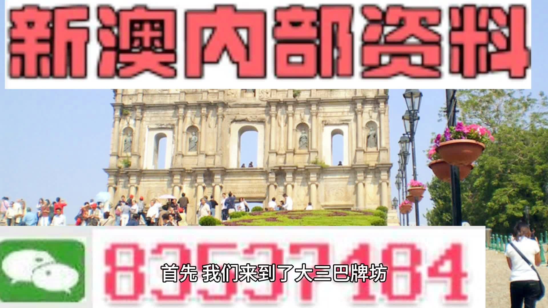 新澳2024正版资料免费公开，探索与启示