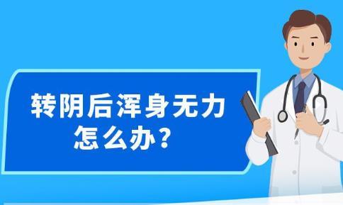 新澳精准资料，助力个人与企业的成功之路