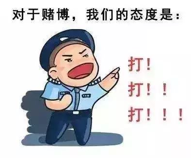 一肖一码一必中一肖——揭示背后的犯罪风险与警示