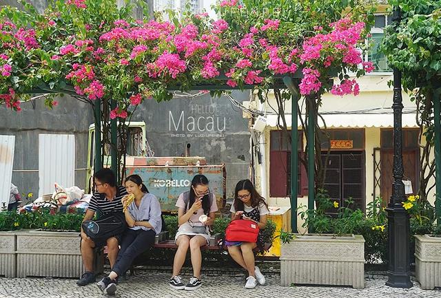 新澳门一码一肖一特一中水果爷爷的探索之旅