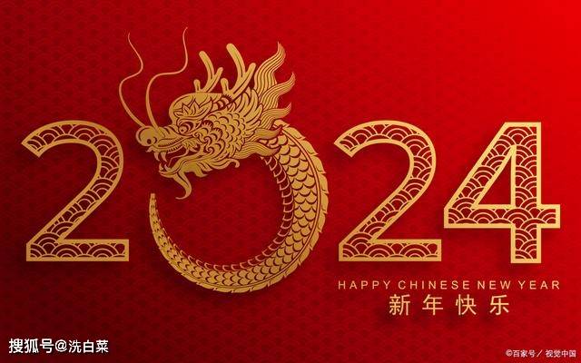 揭秘2024年一肖一码一中，背后的奥秘与期待