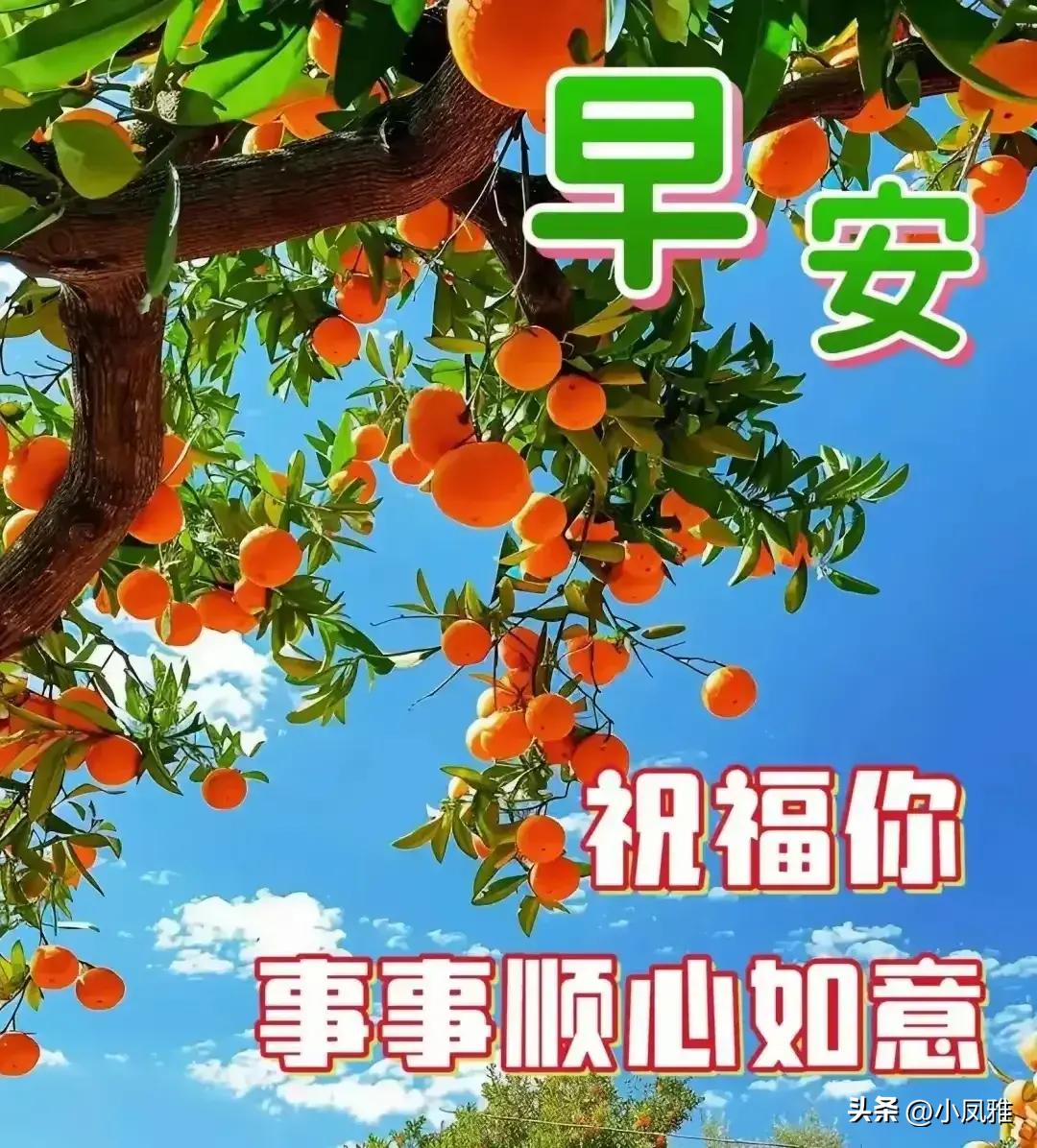 免费获取2024天天彩资料大全的指南