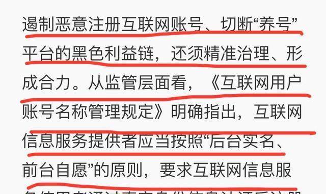 澳门三肖三码精准100%黄大仙，揭示背后的违法犯罪问题