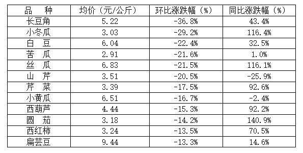 山东芹菜价格最新行情分析