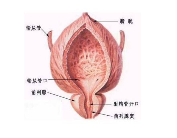 最新前列腺炎治疗方法，探索与解析