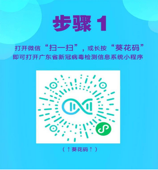 最新试纸，革新科技与医疗检测的未来