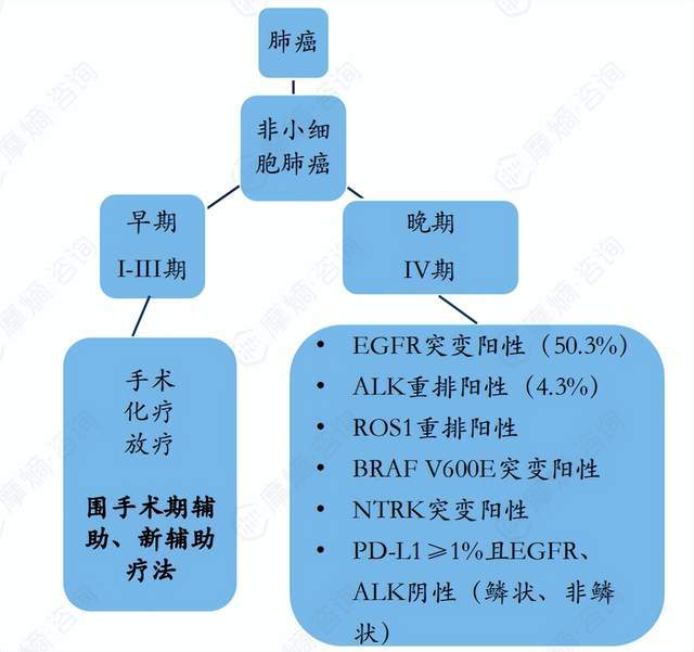 癌症最新突破，重塑治疗格局的希望之光